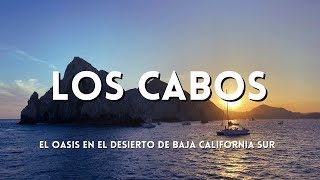 🔥 LOS CABOS México ¡Qué lugar tan HERMOSO ¿Qué hacer en el súper destino de BCS Baja SUR [upl. by Ahcropal]