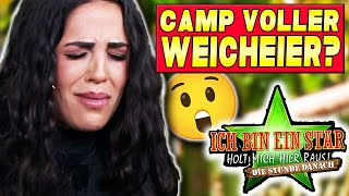 Die Stunde Danach DAS CAMP DER VERSAGER Elena FASSUNGSLOS  Dschungelcamp 2025 Tag 2 [upl. by Scully116]