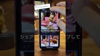 Qubii Duoを使ってGoogleフォトのデータをバックアップする方法のiPhone版作りました〜！qubiiduo googleフォト [upl. by Skyla]