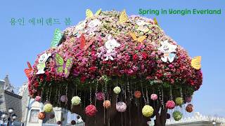 용인 에버랜드 봄 Spring in Yongin Everland [upl. by Sukcirdor]