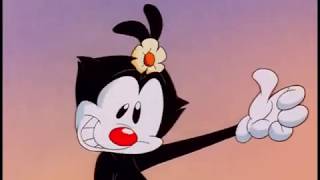 Animaniacs Season 4 Credits [upl. by Edylc]