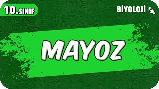 Mayoz  10Sınıf Biyoloji 2025 [upl. by Seda]