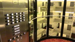 Hotel Tour Hyatt Regency in Atlanta GA [upl. by Nyltak]