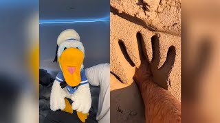 Donald Ducc FUNNY SATISFYING TikToks DONT LAUGH CHALLENGE [upl. by Nifares]