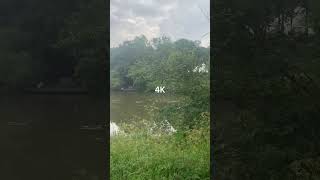 720p vs 4K [upl. by Sucram311]