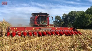 2019 Corn Harvest 16 Rows At a Time Case IH 9240 Combine [upl. by Ulu590]