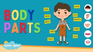 Learn Parts of Body Names  Body Parts Names for Kids  Human Body Parts  Kids English Vocabulary [upl. by Ahsenrac369]