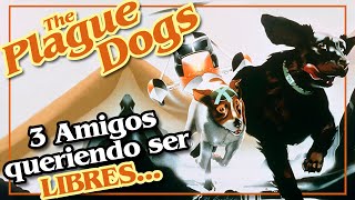 LOS PERROS DE LA PLAGA RESUMEN  Los Animales Que Solo Conocieron La Crueldad Humana [upl. by Nnywg215]