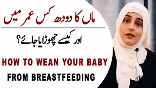 How to Wean Your Baby From Breastfeeding  Kanwal Abbasi [upl. by Mayyahk]