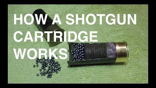 How a Shotgun Cartridge Works  The Basics [upl. by Ephrem]