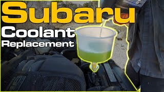 Subaru Coolant Replacement [upl. by Irmina]