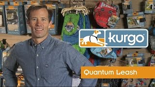 How to Use the Kurgo Quantum Dog Leash [upl. by Jessalin659]