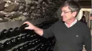 Remuage Riddling in Champagne [upl. by Ado]