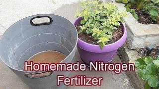 Evde Azot Gübresi Nasıl Yapılır Homemade Nitrogen Fertilizer [upl. by Brownson338]