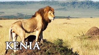 Kenia Highlights in Afrika  Reisebericht [upl. by Baumann]