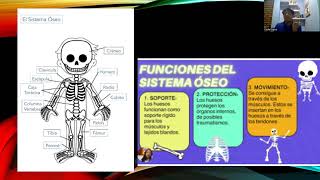 SISTEMA ÓSEO ENFERMEDADES Y CUIDADO [upl. by Danny]