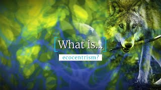 What Is Ecocentrism [upl. by Vine561]