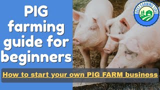 PIG FARMING guide for beginners How to start your own PIG farm business [upl. by Hama]