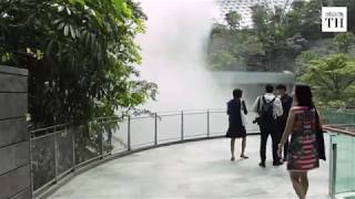 At Singapores Changi Airport witness the worlds largest indoor waterfall [upl. by Nadabus]