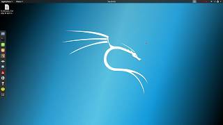 SkipFish  Demonstration  Kali Linux Web Scraping Tool [upl. by Anayek]