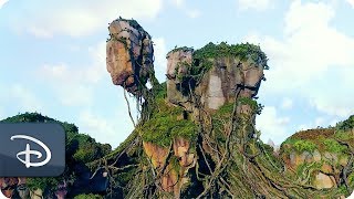 The Making of Pandora  The World of Avatar  Disneys Animal Kingdom [upl. by Otrebliw678]