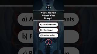 Anatomy Quiz Part 34 anatomyquiz anatomy anatomyquestions [upl. by Ahsoik]