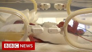 Woman gives birth to nine babies  BBC News [upl. by Nelloc140]