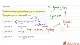 The hormone that stimulates the maturation of Tlymphocytes is released from [upl. by Randa830]