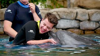 We Swam with Dolphins at SeaWorld San Antonio [upl. by Morse559]