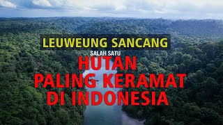 LEUWEUNG SANCANG HUTAN PALING ANGKER Tapi Menyimpan Keindahan Yang Luar Biasa AdrasaID Sancang [upl. by Alyhc760]