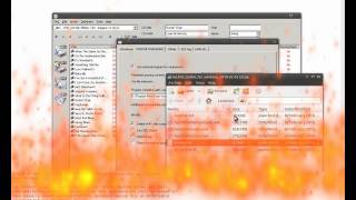 How to rip a disc to mp3hd using EAC [upl. by Ailuj]