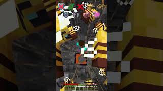 Dimensional Cave vs Falling Effect shorts meme minecraft [upl. by Novyad]