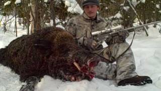 How to Hunt Boar  Boar Hunting in Michigan [upl. by Blinnie]