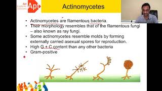 Actinomycetes [upl. by Ranjiv385]