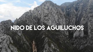 Escalada y rápel en el Nido de los Aguiluchos  La Huasteca Monterrey [upl. by Nadabas]