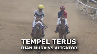 DUEL PACUAN KUDA TEMPEL TERUS [upl. by Kalle]