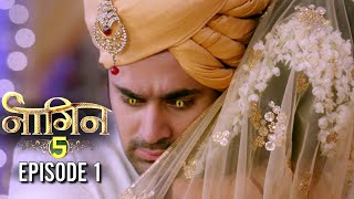 NAAGIN 5 Episode 1 Full Story  NAAGIN 5  नागिन 5 [upl. by Ylak]