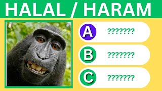 Islamic Quiz 🕌  Haram or Halal Animals To Eat  no music [upl. by Luht]