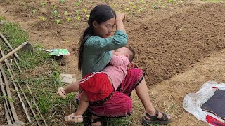 Single mom  Harvesting wild potatoes to sell gardening and sowing vegetable seeds in the garden [upl. by Adlar]