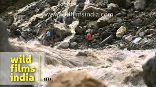 Worst of the Uttarakhand floods a compilation of frightening imagery [upl. by Garrot841]