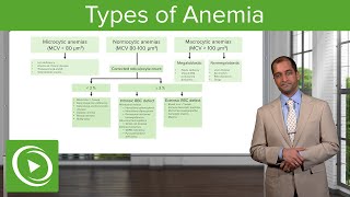 Anemia Microcytic Normocytic amp Macrocytic Type – Hematology  Lecturio [upl. by Sukramal]