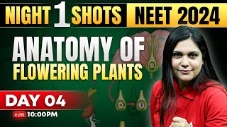 Anatomy of Flowering Plants Class 11 One Shot  NEET 2024  Garima Goel [upl. by Pricilla561]