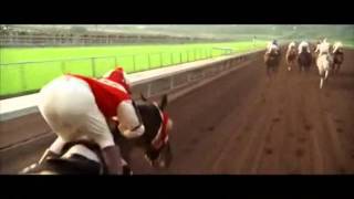 Horse Racing  It Aint Over Yet [upl. by Elburr]