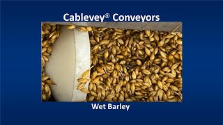 Cablevey® Conveyors  Wet Barley [upl. by Hairu902]