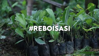 Reboisasi hutan desaTree adoption program [upl. by Natek538]