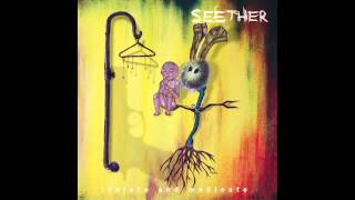 Seether  See You at the Bottom Explicit [upl. by Ydak678]