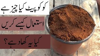 What Is Coco Peat How to Make Coco Peat Benefits of Coco Peat Kitchen Gardening [upl. by Kenison]