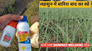 लहसुन में बारिश बाद क्या स्प्रे करें   काली मस्सी का नियंत्रण  How to control Downey mildew [upl. by Rockefeller258]