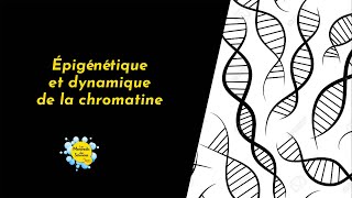 Épigénétique et dynamique de la chromatine par Cécile Raynaud Mercredis des Sciences [upl. by Matheny]