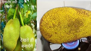 कटहल बनाने का ऐसा नया तरीका आज तक नही देखा होगा  Katahal ki sabzi [upl. by Lessur]